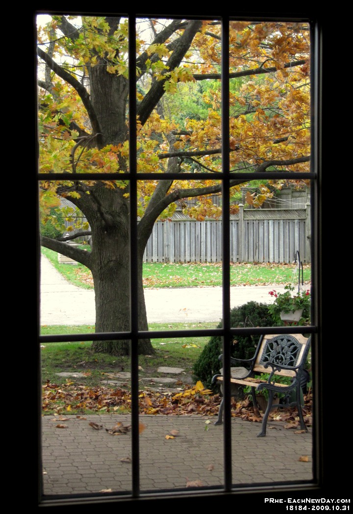18184CrLe - Oak through the side door window